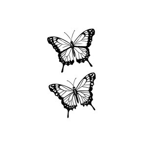 Two Flying Butterflies SS-CB-C-016