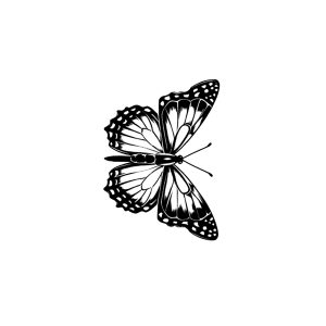 Two Flying Butterflies SS-CB-C-018