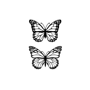 Two Flying Butterflies SS-CB-C-019