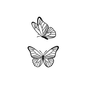 Two Flying Butterflies SS-CB-C-023