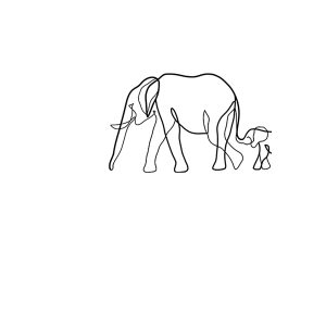 Elephant Baby Elephant