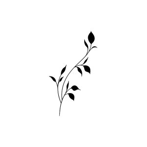 A Green Plant SS-CB-C-095