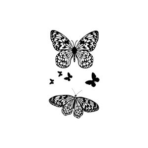 Butterfly SS-CB-C-170