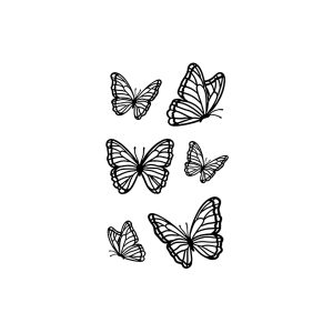 Butterfly SS-CB-C-181