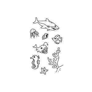 Shark, Conch, Seahorse, Tetra