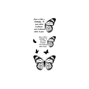 Butterfly SS-CB-H-024