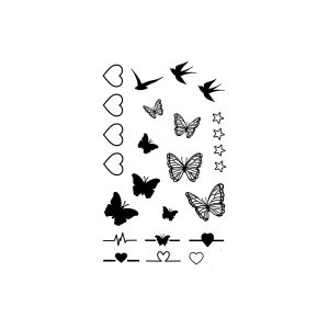 Love Swallow Butterfly Star