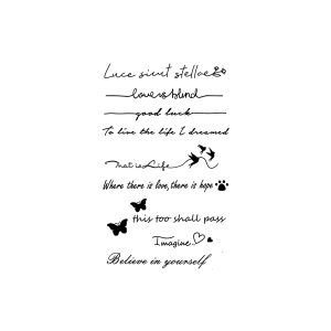 English Sentence Good Luck Pigeon