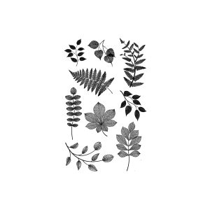 Many Different Leaves