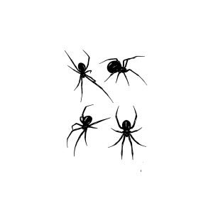 Four Spiders