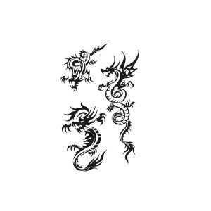 Dragon Fire Pattern