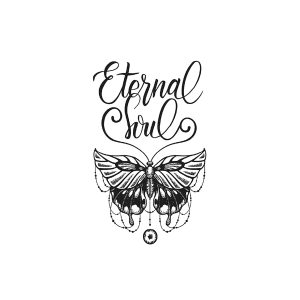 Butterfly English Phrases