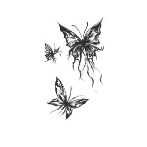 Butterflies Three Butterflies