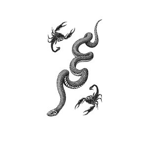 Snakes And Scorpions