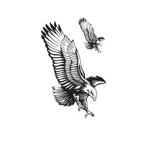 Eagle In Flight