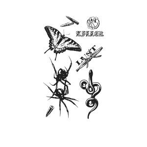 Butterfly Spider Snake