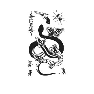 Butterfly Snake Lance Spider