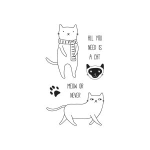 All You Need Is A Cat