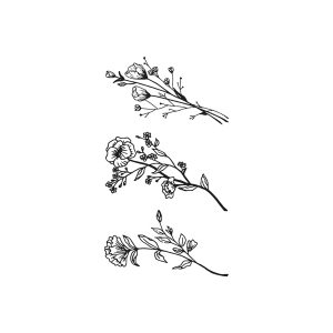 Tripterygium Wilfordii