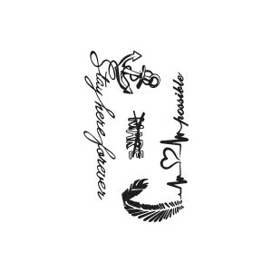 Anchor Feather Short Sentence