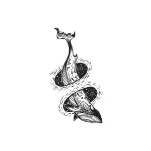 Baleen Whale TH-GZ-260