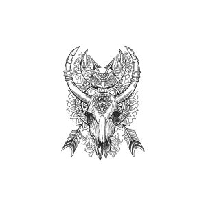 Bull Head Bow And Arrow