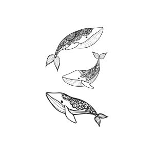 Baleen Whale TH-GZ-318