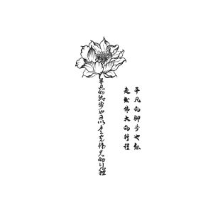 Lotus Chinese Phrases