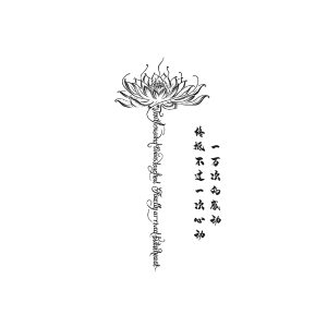 Lotus Chinese Short Sentences Touching