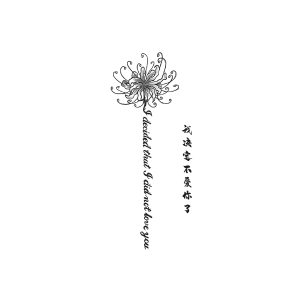 Flowers Chinese Short Sentences No Longer Love