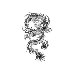 Traditional Dragon TH-GZ-380