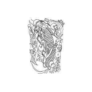 Jumping Carp Brings Wealth