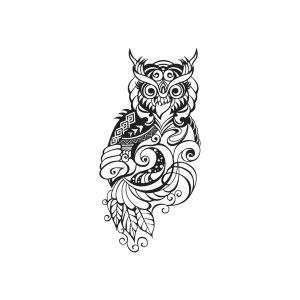 Owl TH-GZ-529