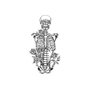 Rose Human Bones