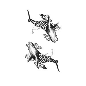 Baleen Whale TH-GZ-781