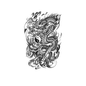 Traditional Dragon Bagua