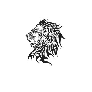 Lion Head Flame Pattern