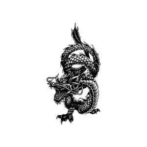 Chinese Style Dragon
