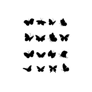 16 Kinds Of Butterflies YY-H-5